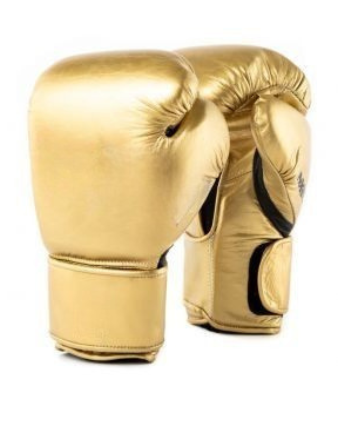 Boxing Gloves Collection